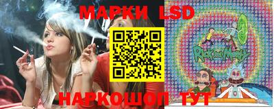 Альфа ПВП Донской