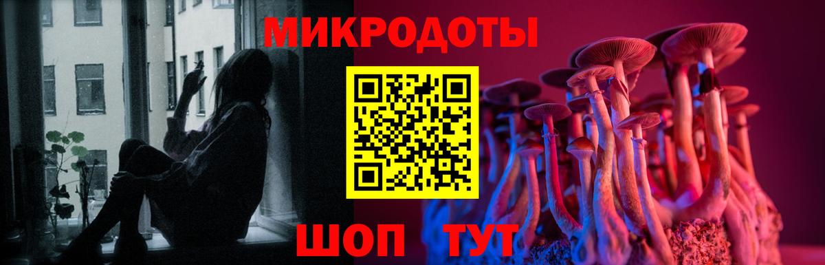 Псилоцибиновые грибы ЛСД  наркотики  Чебоксары  Вход с VPN 